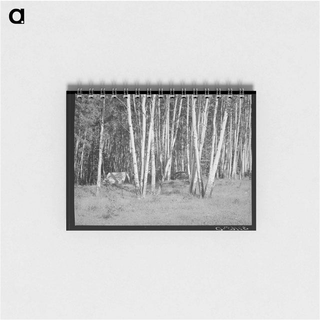アートメモ帳-Santa Barbara Canyon Campers
 - ラッセル リー Memo.