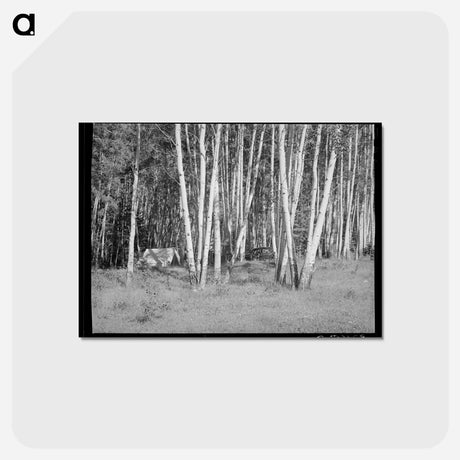 アートポストカード-Santa Barbara Canyon Campers
 - ラッセル リー Postcard.