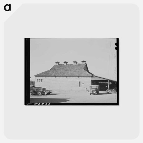 アートポストカード-Pear Packing Plant, Hood River
 - ラッセル リー Postcard.