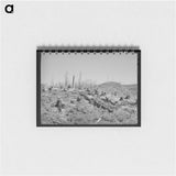 アートメモ帳-Cut-Over Forest Land
 - ラッセル リー Memo.