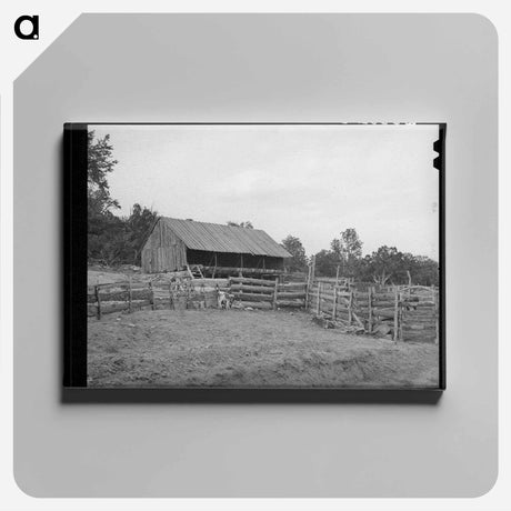 アートパネル-Pie Town Homestead
 - ラッセル リー Canvas.