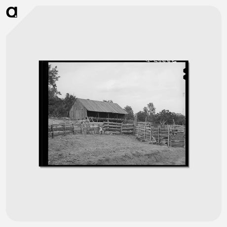 アートポストカード-Pie Town Homestead
 - ラッセル リー Postcard.