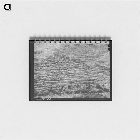 アートメモ帳-Sheep Trails, Klickitat County
 - ラッセル リー Memo.
