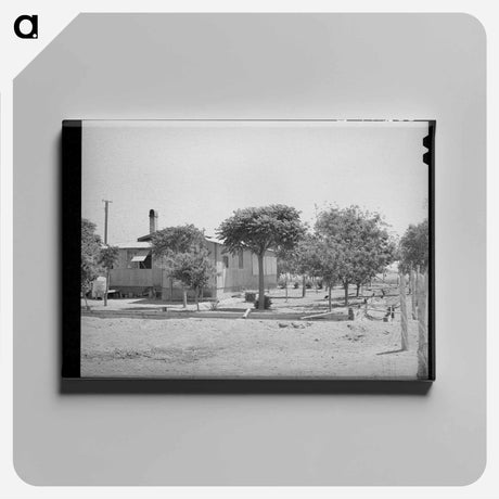 アートパネル-Arizona Irrigation
 - ラッセル リー Canvas.