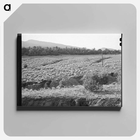 アートパネル-Overgrazed Pasture Gullies
 - ラッセル リー Canvas.