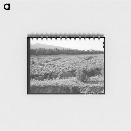 アートメモ帳-Overgrazed Pasture Gullies
 - ラッセル リー Memo.
