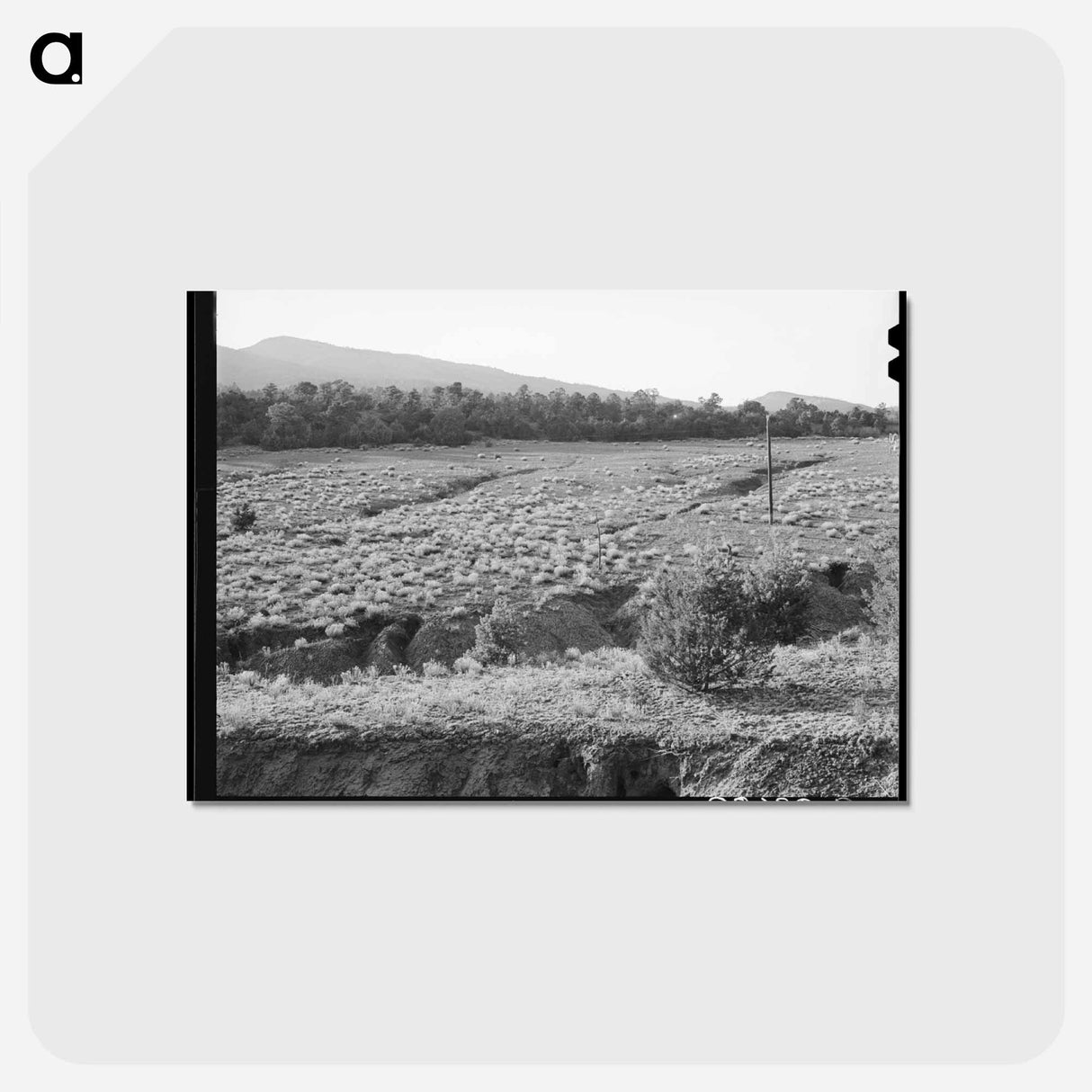 アートポストカード-Overgrazed Pasture Gullies
 - ラッセル リー Postcard.
