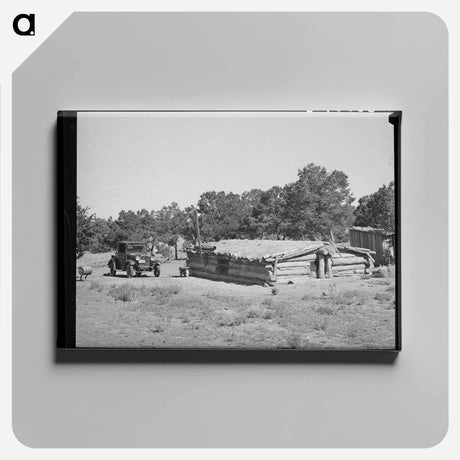 アートパネル-Dugout Home, Pie Town
 - ラッセル リー Canvas.
