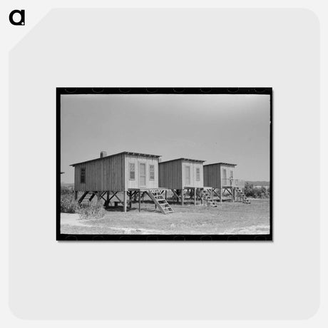 アートポストカード-Caruthersville Housing
 - ラッセル リー Postcard.
