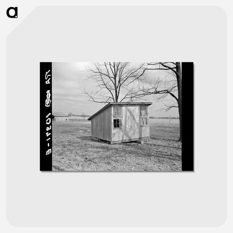 アートポストカード-Shoemaker's Brooder House
 - ラッセル リー Postcard.
