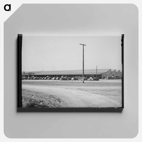 アートパネル-Earl Fruit Company Packing Sheds
 - ラッセル リー Canvas.