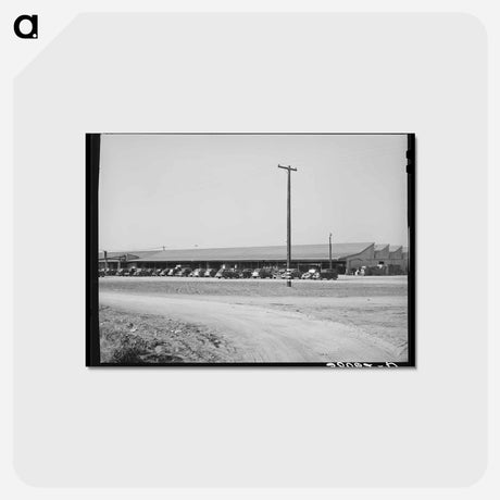 アートポストカード-Earl Fruit Company Packing Sheds
 - ラッセル リー Postcard.