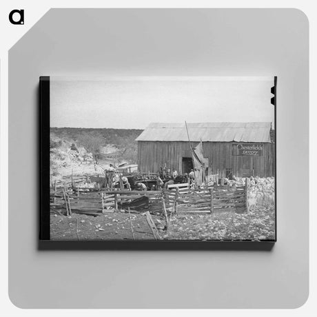 アートパネル-Goat Shearing in Kimble County
 - ラッセル リー Canvas.