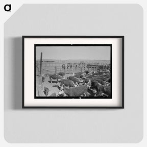 アートポスター-Cattle Roundup Near Marfa
 - ラッセル リー Poster.