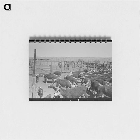 アートメモ帳-Cattle Roundup Near Marfa
 - ラッセル リー Memo.