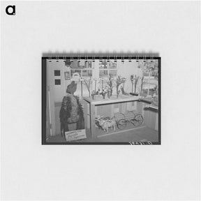 アートメモ帳-Old Apple Tree and Other Work
 - ラッセル リー Memo.