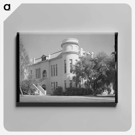 アートパネル-Phoenix Union High School Corner
 - ラッセル リー Canvas.