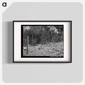 アートポスター-Sheep- and Goat-Proof Fence
 - ラッセル リー Poster.