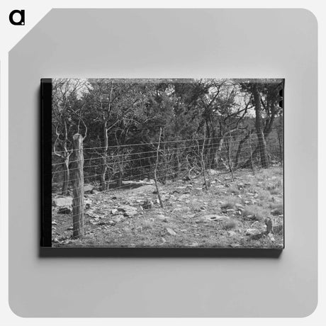 アートパネル-Sheep- and Goat-Proof Fence
 - ラッセル リー Canvas.