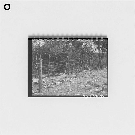 アートメモ帳-Sheep- and Goat-Proof Fence
 - ラッセル リー Memo.