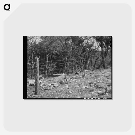 アートポストカード-Sheep- and Goat-Proof Fence
 - ラッセル リー Postcard.