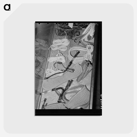 アートポストカード-Hardware Store Window
 - ラッセル リー Postcard.