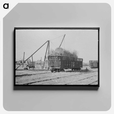 アートパネル-Sugarcane Gondola, Louisiana
 - ラッセル リー Canvas.