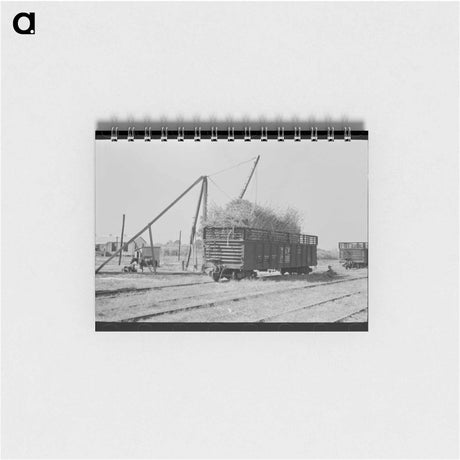 アートメモ帳-Sugarcane Gondola, Louisiana
 - ラッセル リー Memo.