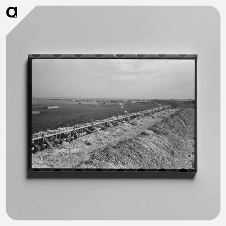 アートパネル-Mass Feeding of Cows
 - ラッセル リー Canvas.