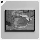アートパネル-Chicken Coop, Oklahoma
 - ラッセル リー Canvas.
