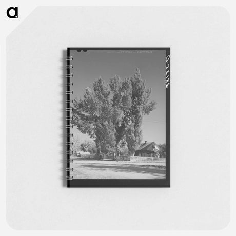 アートメモ帳-Home of Mormon Farmer
 - ラッセル リー Memo.