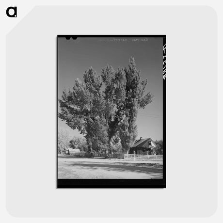 アートポストカード-Home of Mormon Farmer
 - ラッセル リー Postcard.