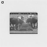 アートメモ帳-Yearling Steers at Salt Trough
 - ラッセル リー Memo.