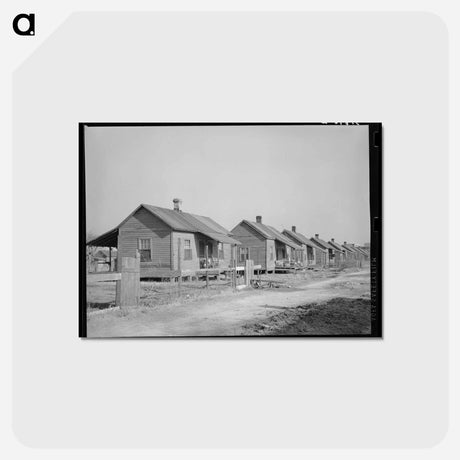 アートポストカード-Sub Housing, Laurel, Mississippi
 - ラッセル リー Postcard.