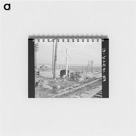 アートメモ帳-Cache Flood Animals
 - ラッセル リー Memo.