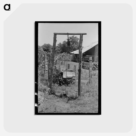 アートポストカード-Tenant Farmer, Oklahoma
 - ラッセル リー Postcard.