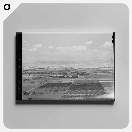 アートパネル-Cherry Orchards of Idaho
 - ラッセル リー Canvas.