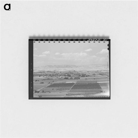 アートメモ帳-Cherry Orchards of Idaho
 - ラッセル リー Memo.