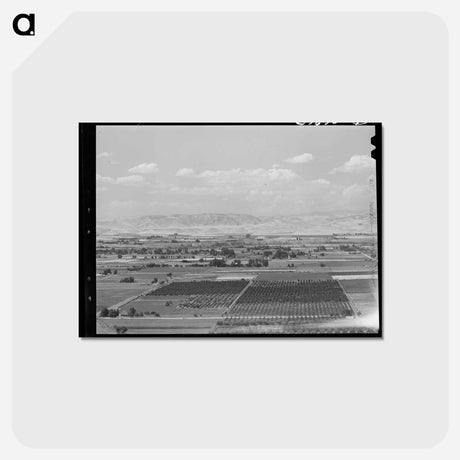 アートポストカード-Cherry Orchards of Idaho
 - ラッセル リー Postcard.