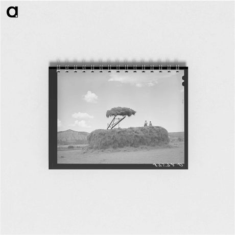 アートメモ帳-Stacking Hay
 - ラッセル リー Memo.