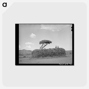 アートポストカード-Stacking Hay
 - ラッセル リー Postcard.