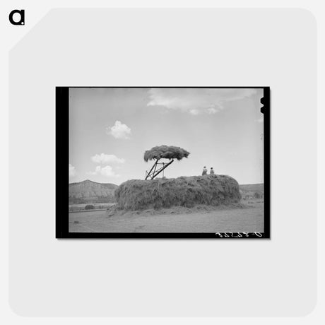 アートポストカード-Stacking Hay
 - ラッセル リー Postcard.