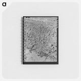 アートメモ帳-Dead Cotton Plants
 - ラッセル リー Memo.