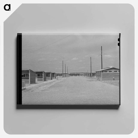 アートパネル-Sinton Migrant Camp Street
 - ラッセル リー Canvas.