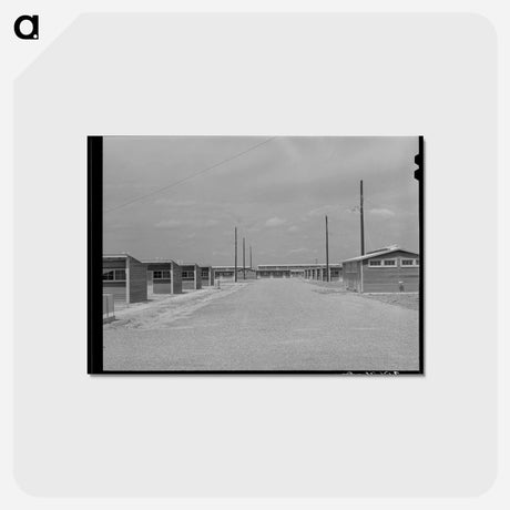 アートポストカード-Sinton Migrant Camp Street
 - ラッセル リー Postcard.