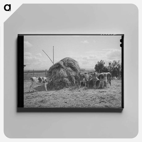 アートパネル-Cattle on Vale-Owyhee Farm
 - ラッセル リー Canvas.
