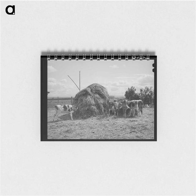 アートメモ帳-Cattle on Vale-Owyhee Farm
 - ラッセル リー Memo.