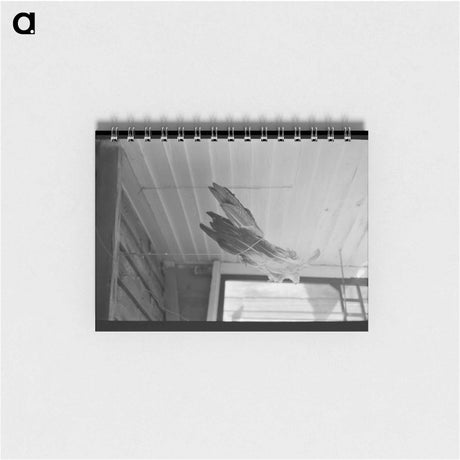 アートメモ帳-Turkey Feathers on a Cajun Porch
 - ラッセル リー Memo.