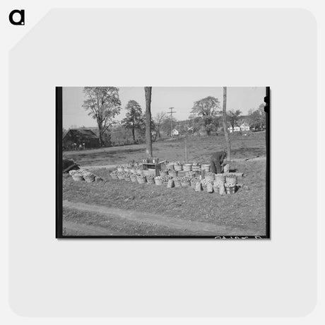 アートポストカード-Roadside Stand Near Bennington, Vermont
 - ラッセル リー Postcard.