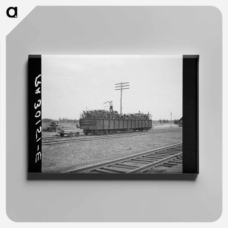 アートパネル-Loading Scrap Iron
 - ラッセル リー Canvas.